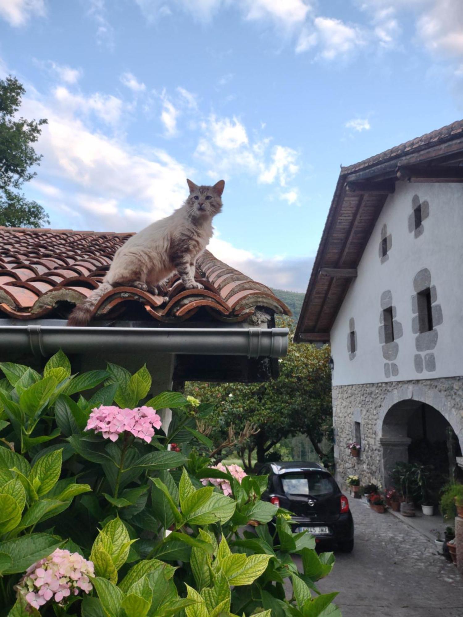 Hotel Rural Natxiondo Lekeitio Dış mekan fotoğraf